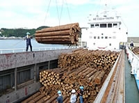 海外への木材輸出