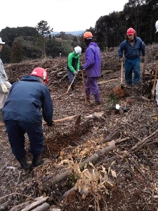 クヌギ、スギ、ヒノキ、イヌマキの苗を植栽
